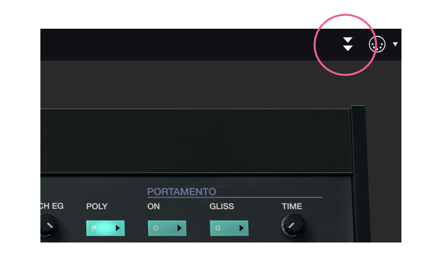 DX7 V のAdvance modeへの切り替え